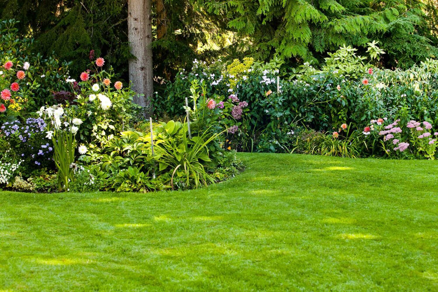 Keep your Greenville, SC garden healthy and beautiful with 10 essential garden maintenance tips. Learn expert strategies for soil, watering, pruning, and seasonal care from Greenville Yard Pros.